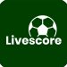 bk8 livescore